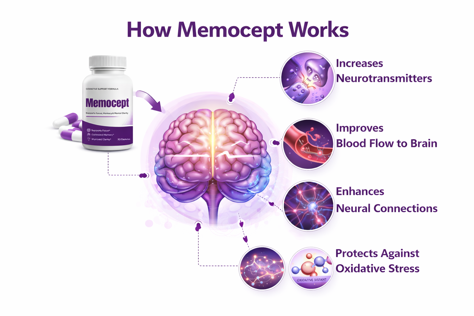 How Memocept works — increases neurotransmitters, improves blood flow to the brain, enhances neural connections, and protects against oxidative stress
